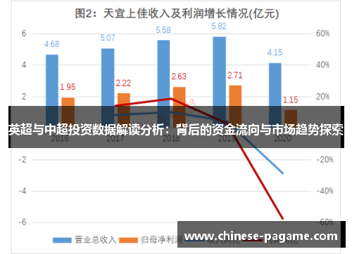 英超与中超投资数据解读分析：背后的资金流向与市场趋势探索